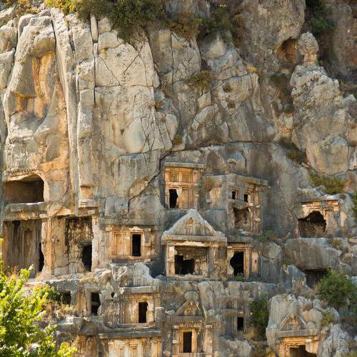 Photo #8955146