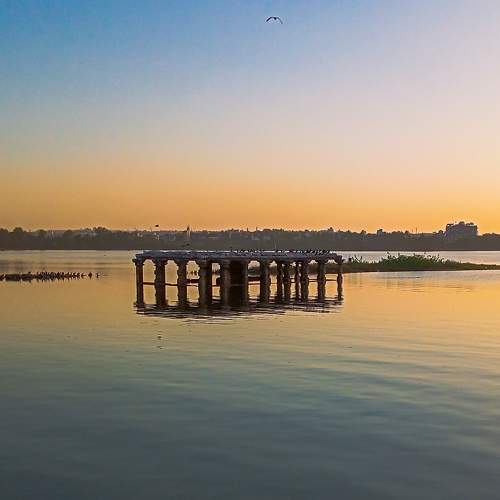 Photo #8955186