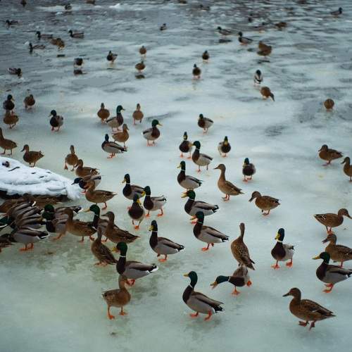 Photo #8955409