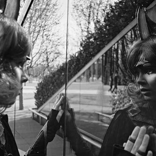 Photo #8955490