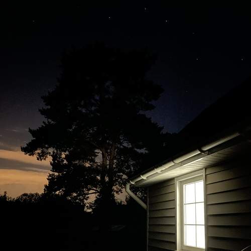 Photo #8955644