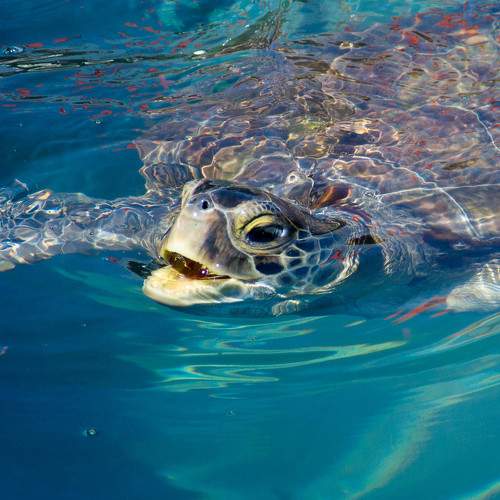 Photo #8955670