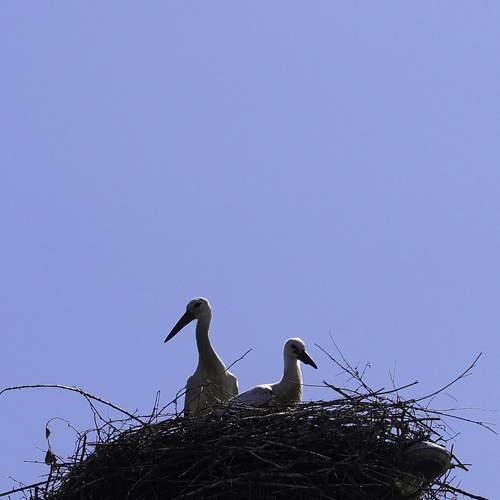 Photo #8955859
