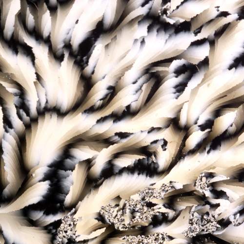 Photo #8956064