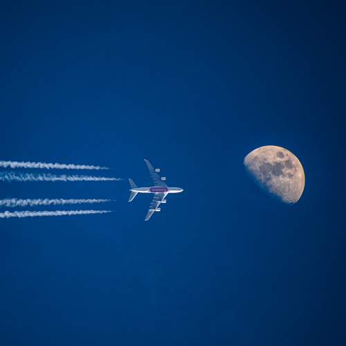 Фотография #8956117