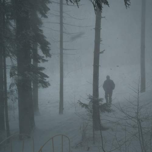 Photo #8956437