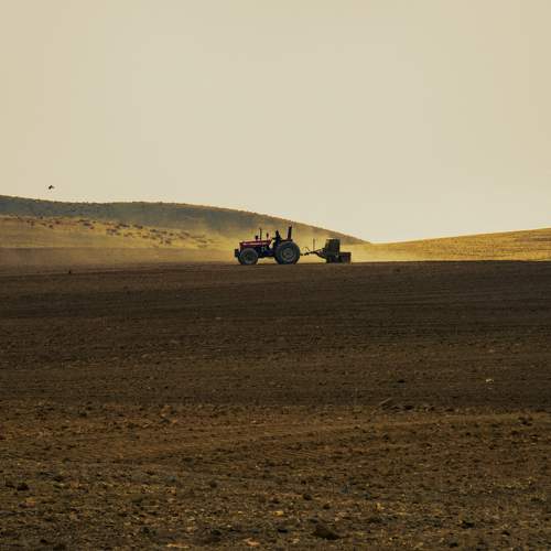 Photo #8956588