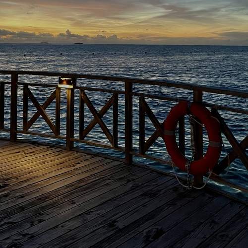 Photo #8956920