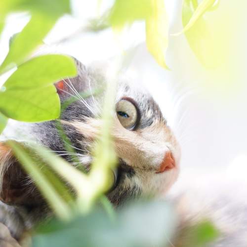 Photo #8956983