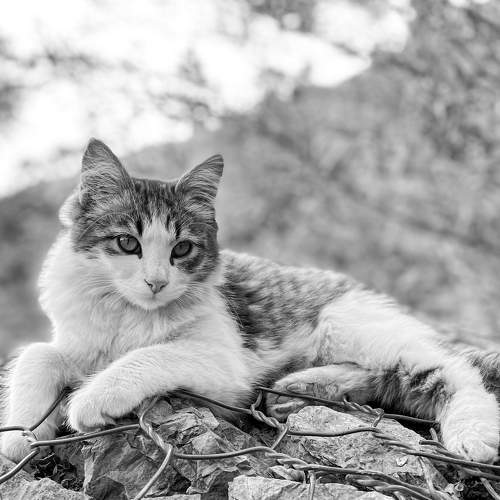 Photo #8956988