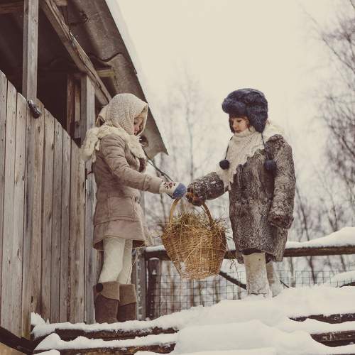 Photo #8956992
