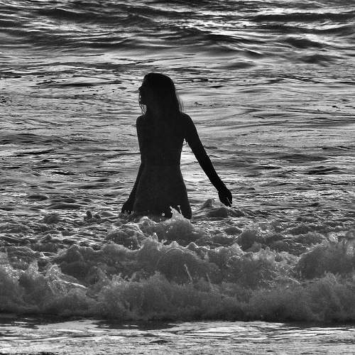 Photo #8957239