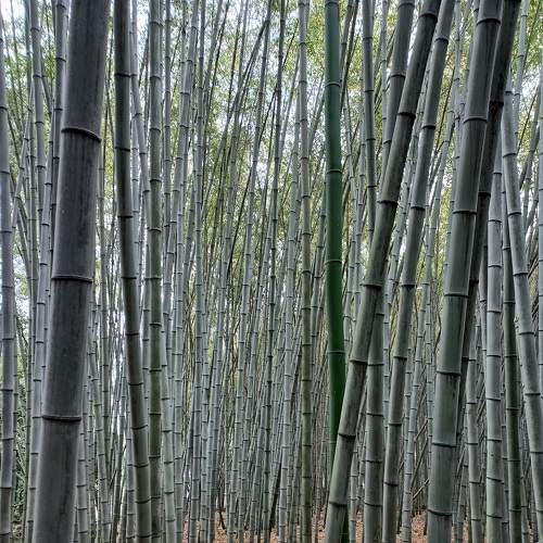 Photo #8958259