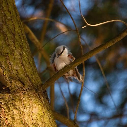 Photo #8958486