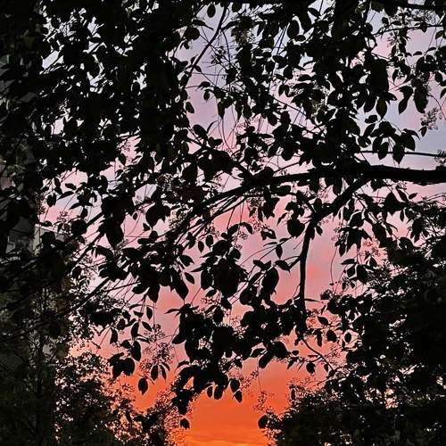 Photo #8958584