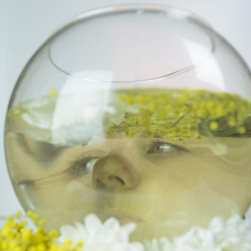 Photo #8959596