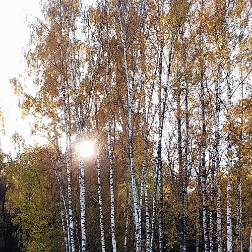 Photo #8959909