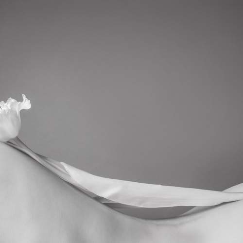 Фотография #8960008