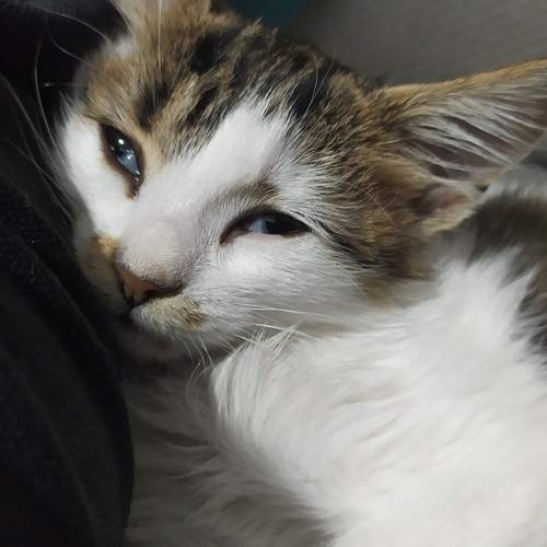 Photo #8960081