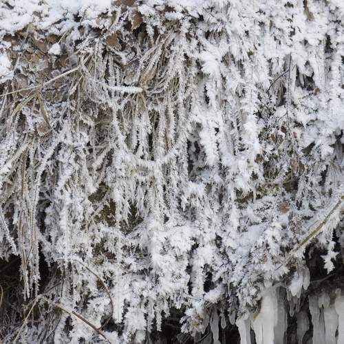 Photo #8960103