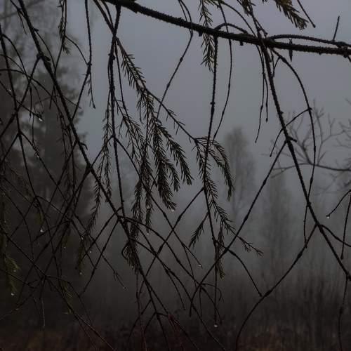 Photo #8960265