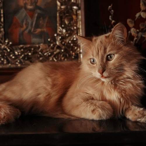Photo #8960712