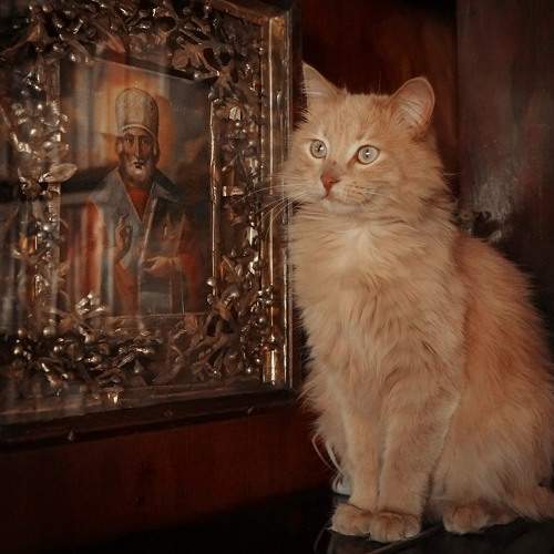 Photo #8960719