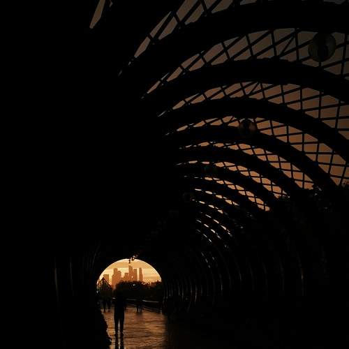 Photo #8960772