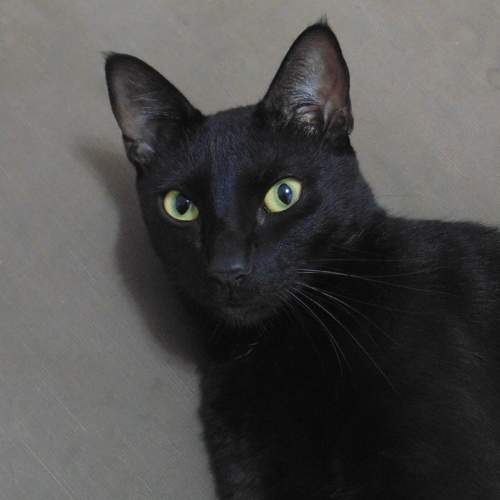 Photo #8960792