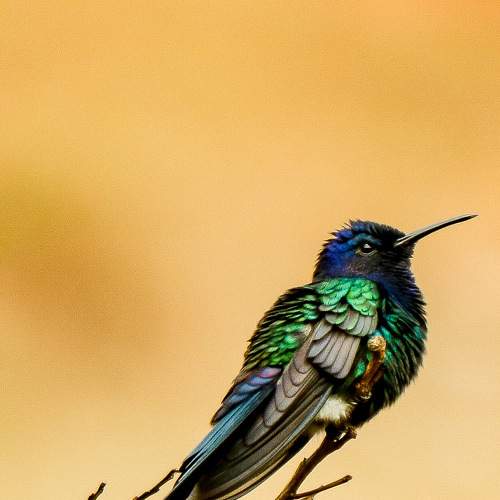 Photo #8960992