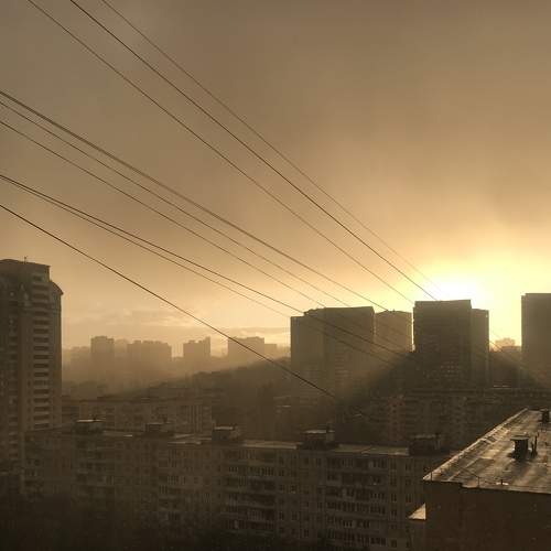 Photo #8961162