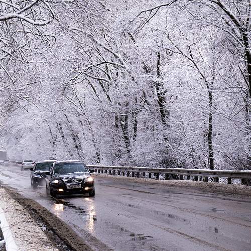 Photo #8961387