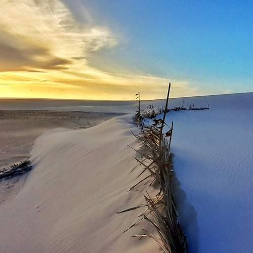 Photo #8961717