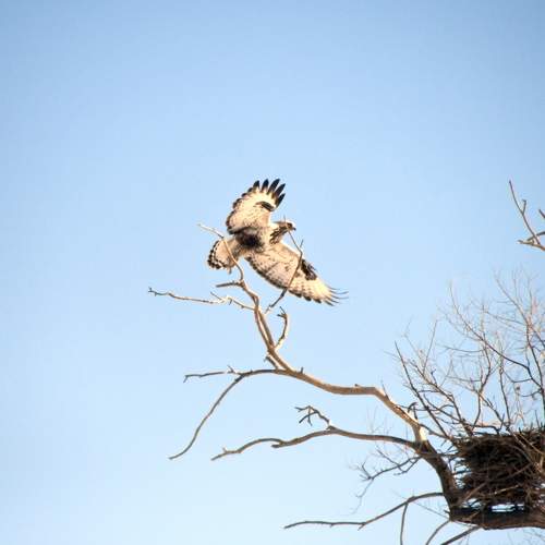 Photo #8961836