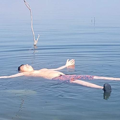 Photo #8961858