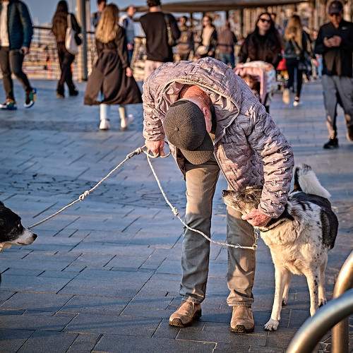 Фотография #8961904