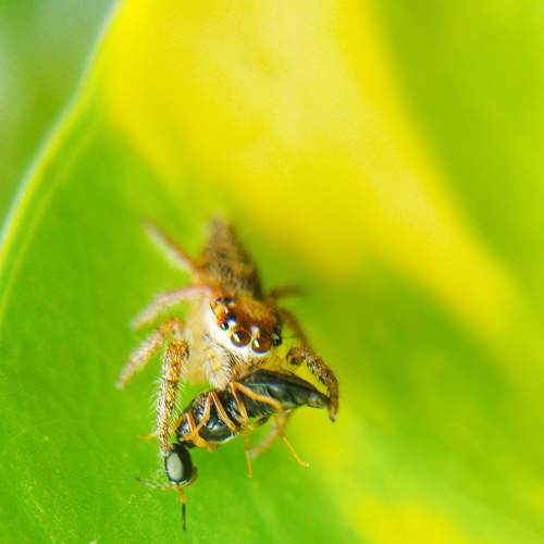 Photo #8962434