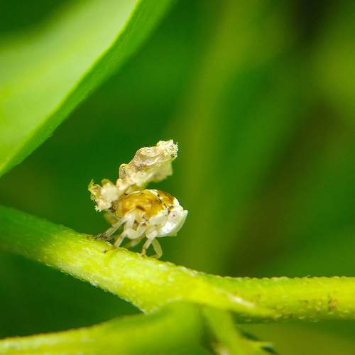 Photo #8962438