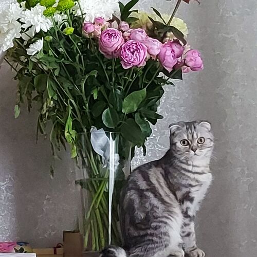 Photo #8962721