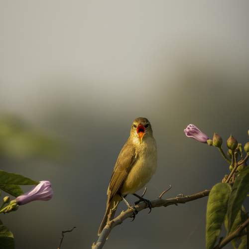 Photo #8963124