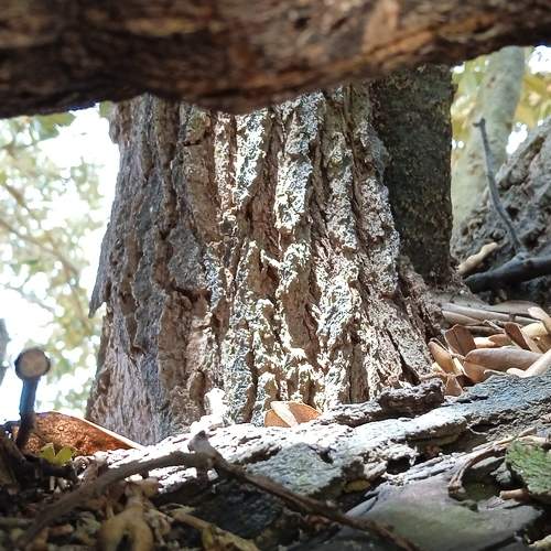 Photo #8963209