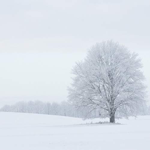 Photo #8963444