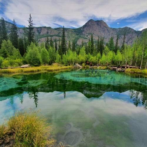 Photo #8963525