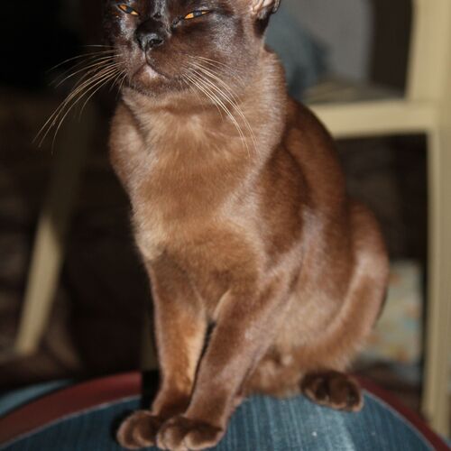 Photo #8963562