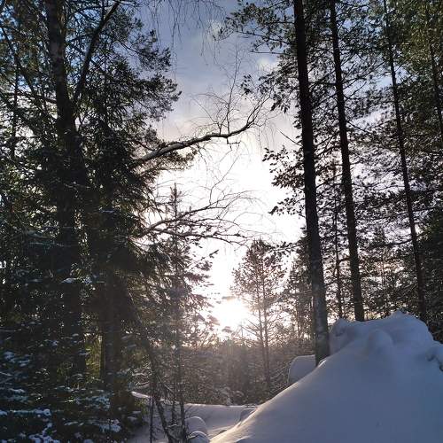 Photo #8964144