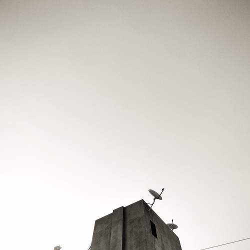 Photo #8964938