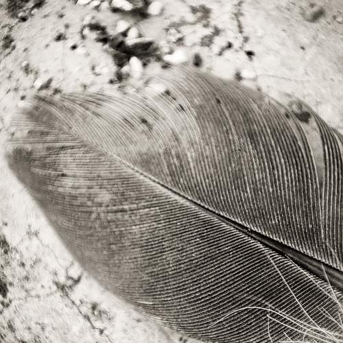 Photo #8964944