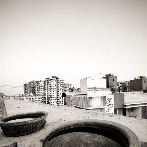 Photo #8964952