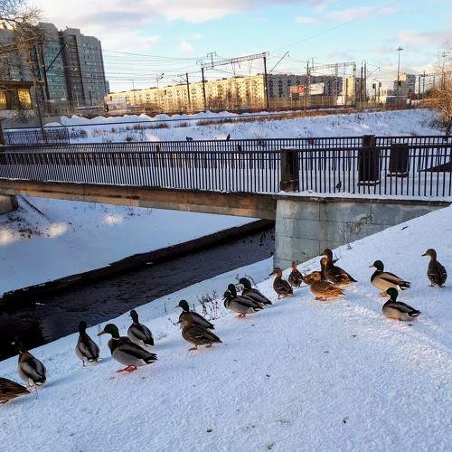 Photo #8964964
