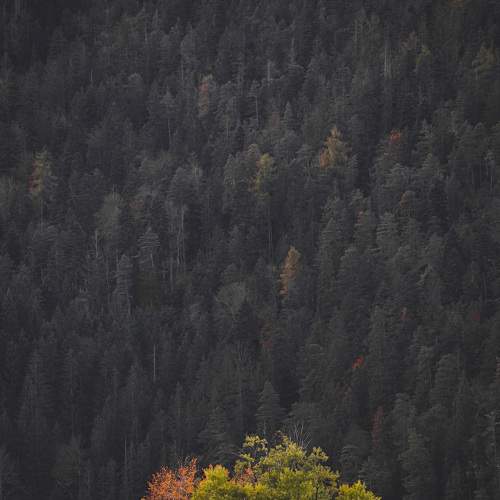 Photo #8964990